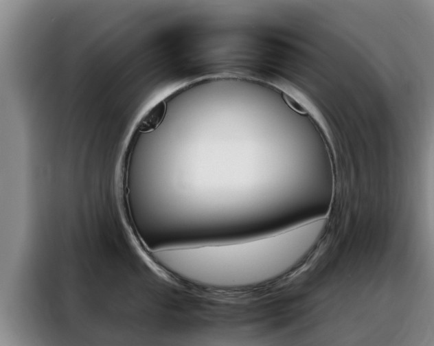 X0000088361053200705220729