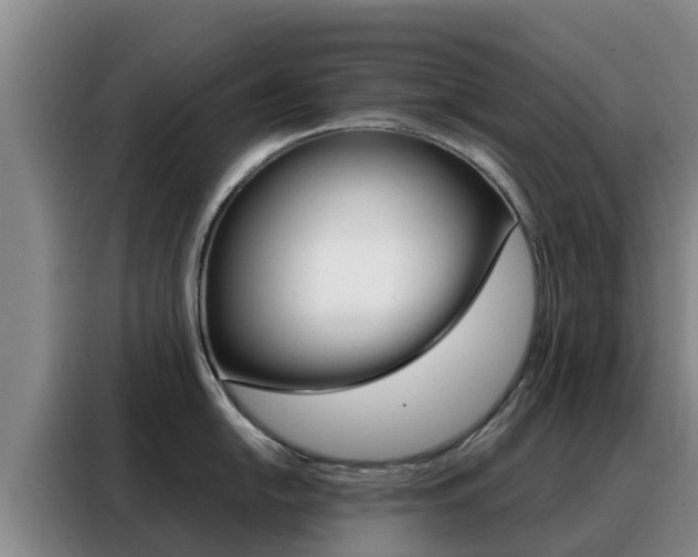 X0000088361054200705220729