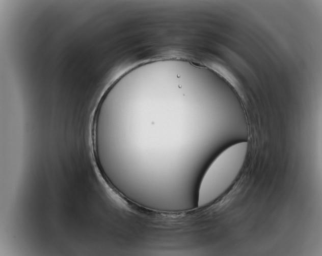 X0000088361055200705220729