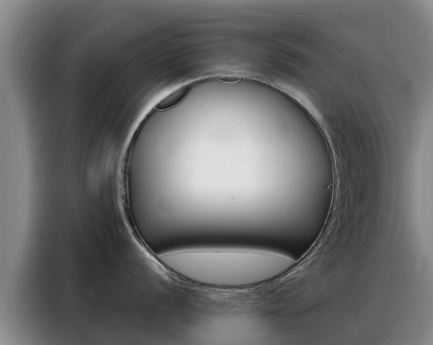 X0000088361056200705220729