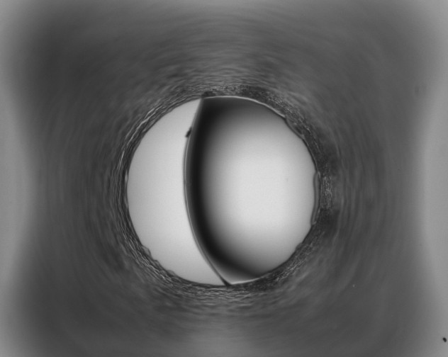 X0000088361057200705220728