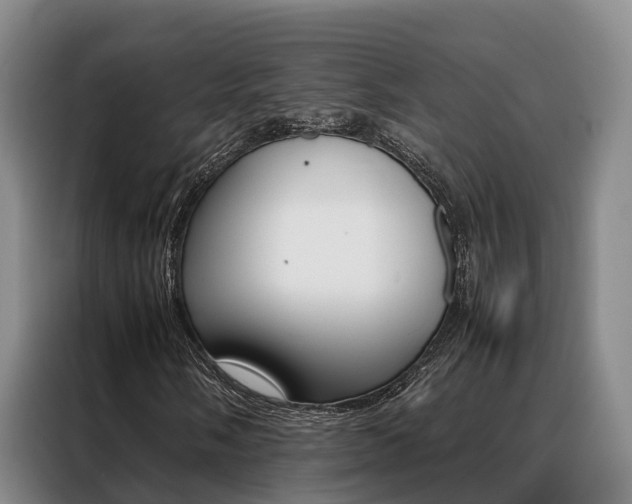 X0000088361058200705220728
