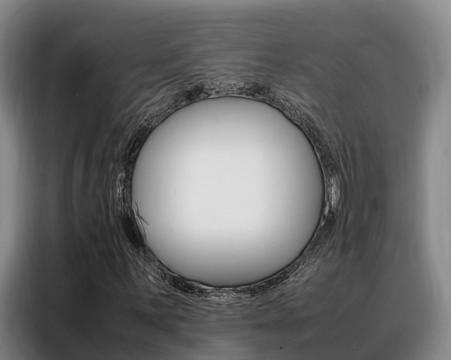 X0000088361059200705220728
