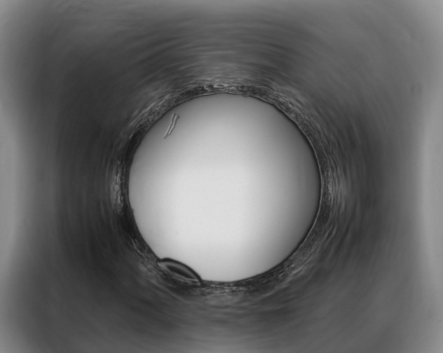 X0000088361060200705220728