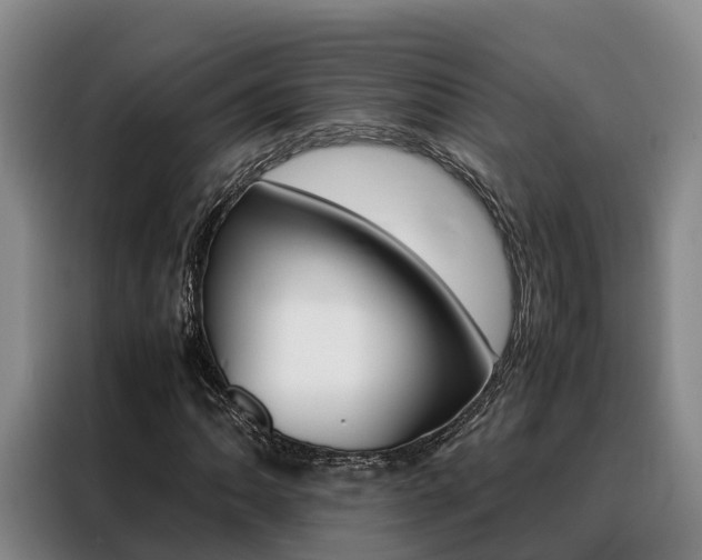 X0000088361062200705220728