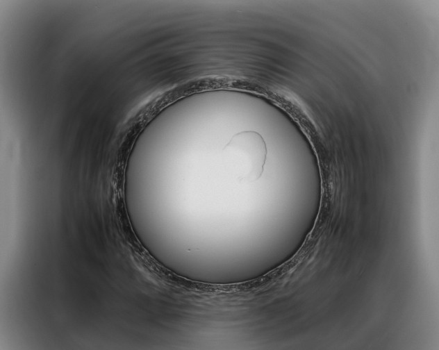 X0000088361064200705220728