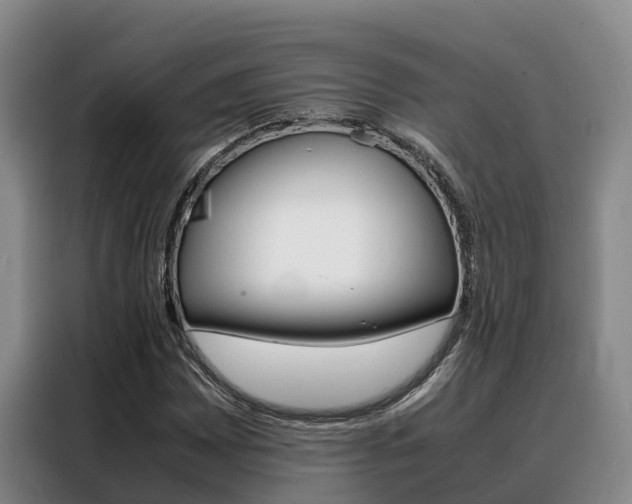 X0000088361065200705220728