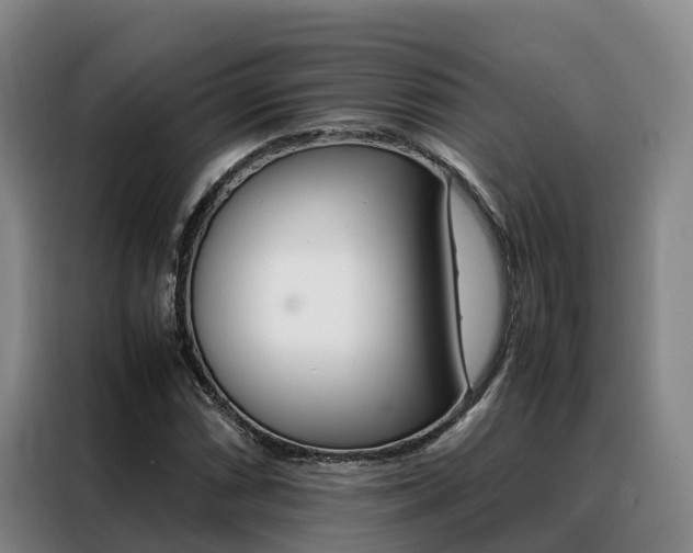 X0000088361066200705220728