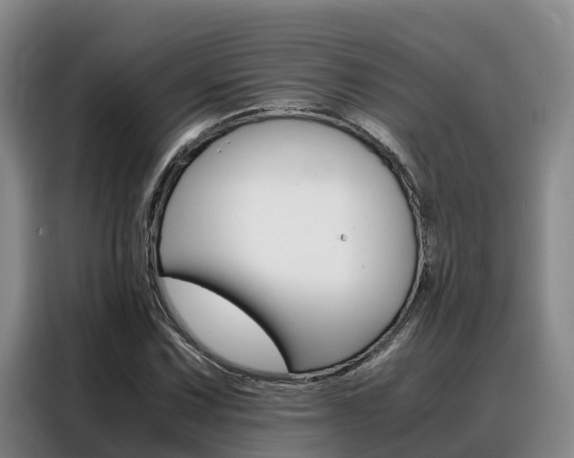 X0000088361067200705220728