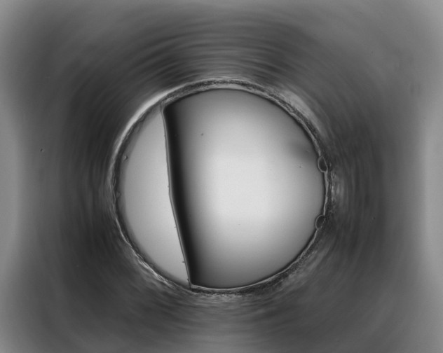 X0000088361068200705220728