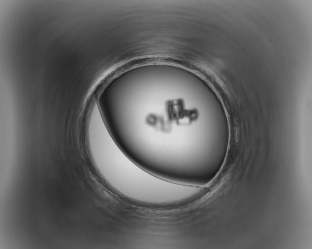 X0000088361069200705220728