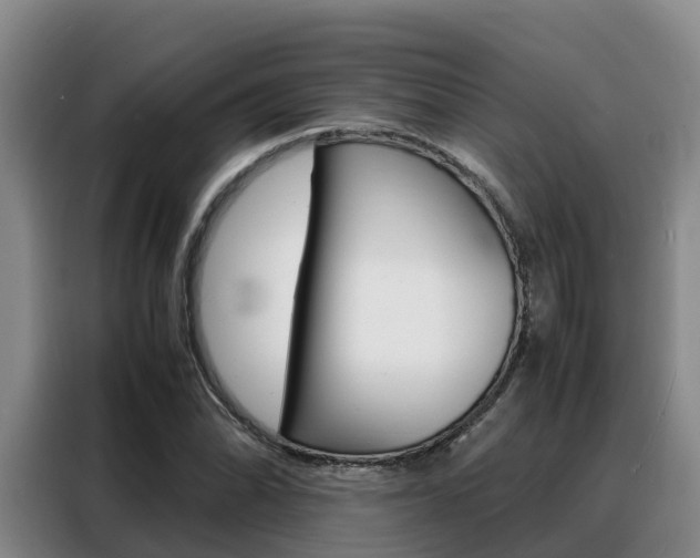 X0000088361070200705220728