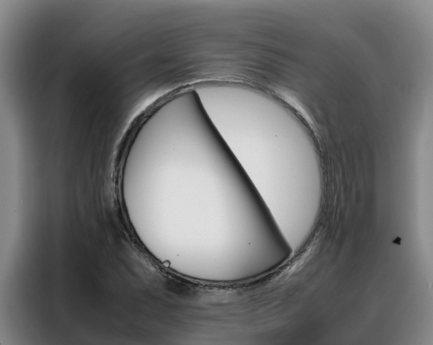 X0000088361071200705220728