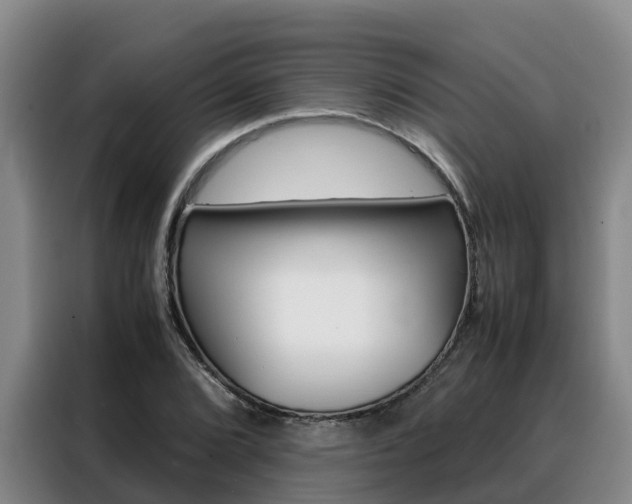 X0000088361072200705220728