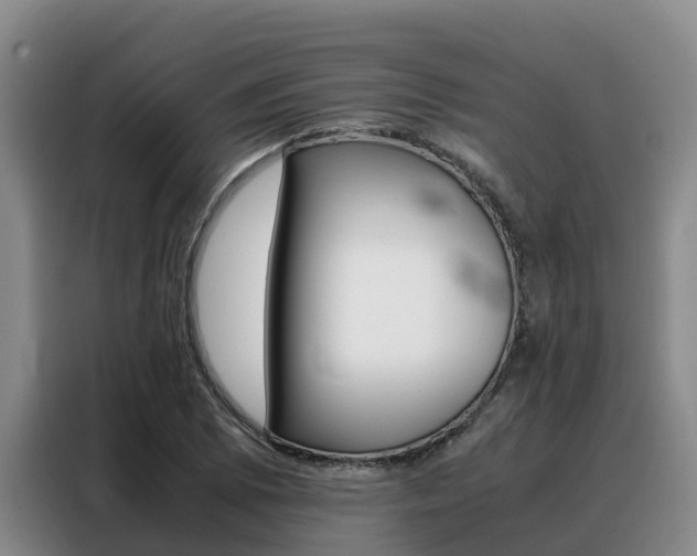 X0000088361073200705220728