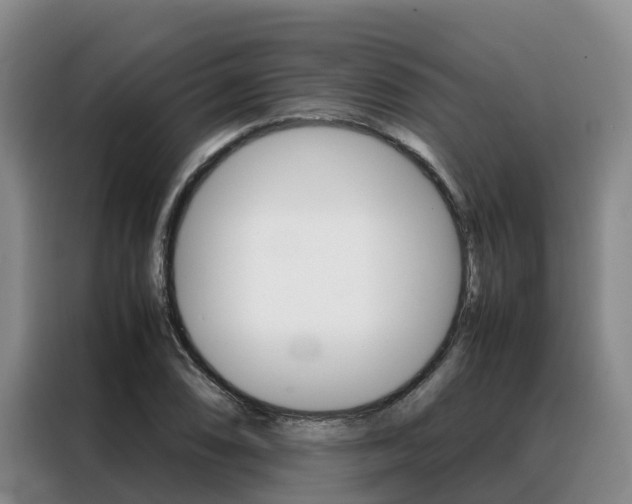 X0000088361074200705220728
