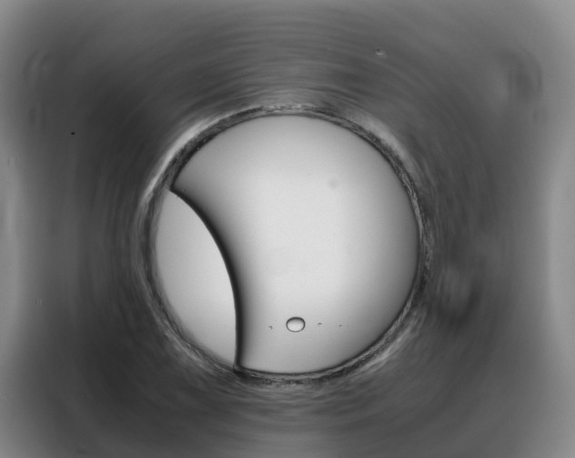 X0000088361075200705220728