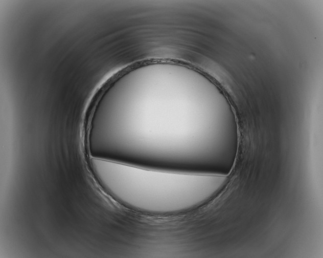 X0000088361076200705220728