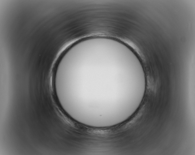 X0000088361078200705220728