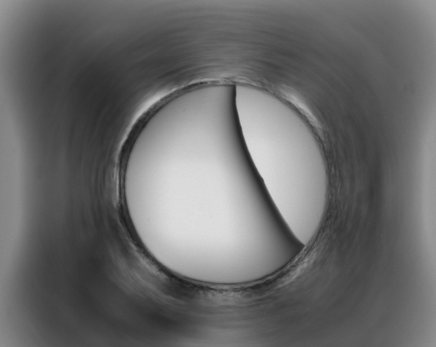 X0000088361079200705220728