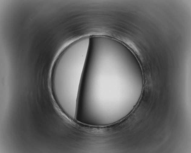 X0000088361080200705220728