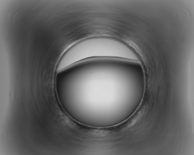 X0000088361081200705220728