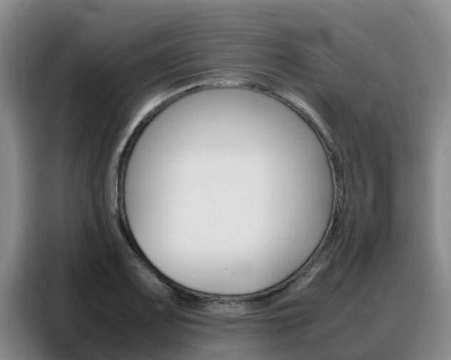 X0000088361083200705220728