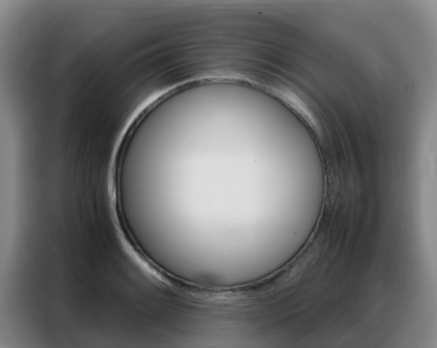 X0000088361084200705220728
