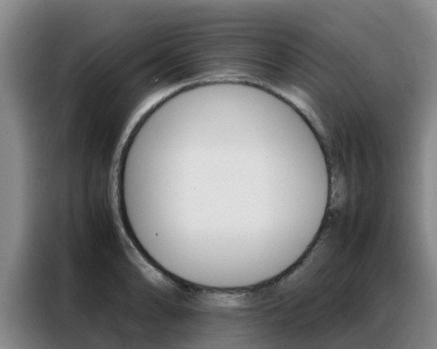X0000088361086200705220728