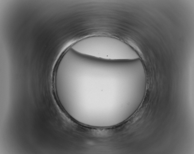 X0000088361087200705220728