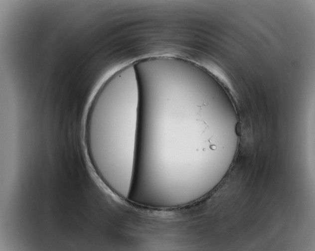 X0000088361088200705220728