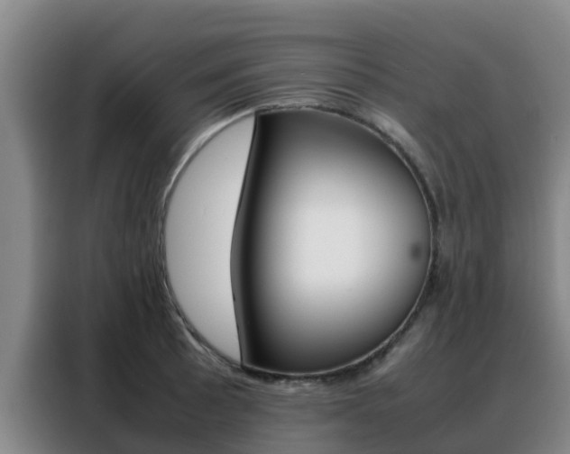 X0000088361089200705220728