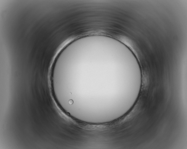 X0000088361090200705220728