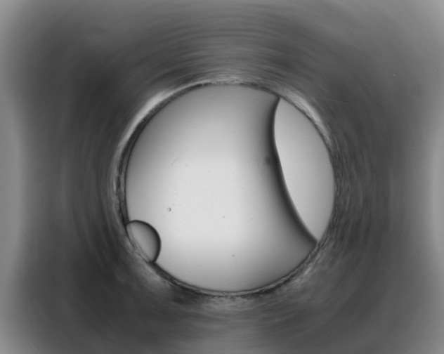 X0000088361091200705220728