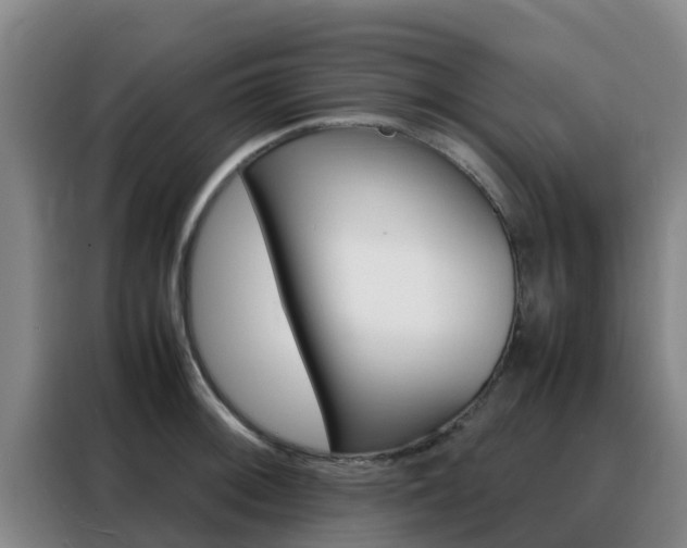 X0000088361092200705220728