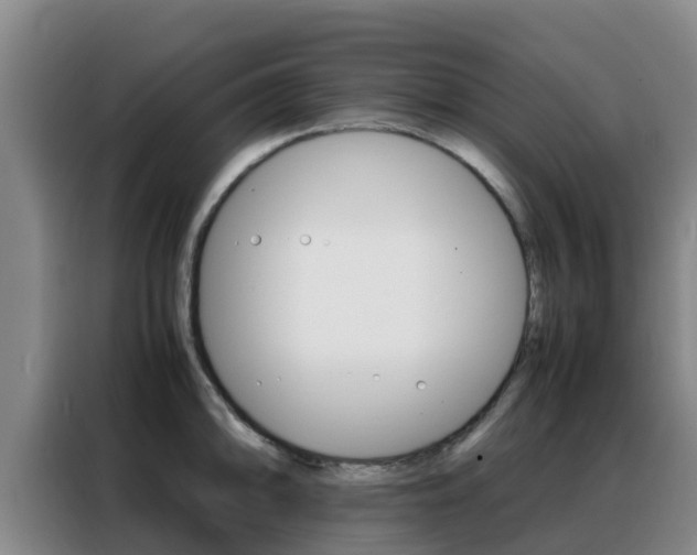 X0000088361094200705220728