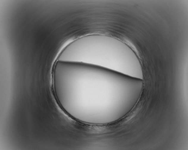 X0000088361095200705220728