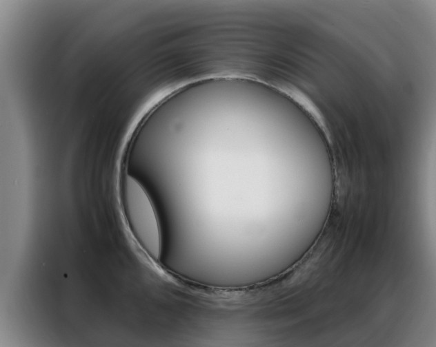 X0000088361096200705220728