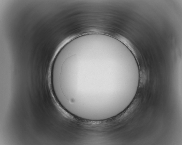 X0000088361098200705220728