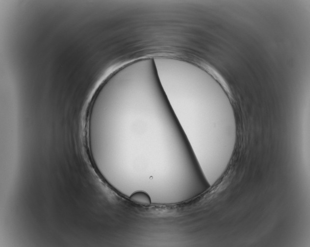 X0000088361099200705220728