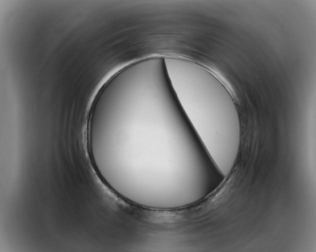 X0000088361100200705220728