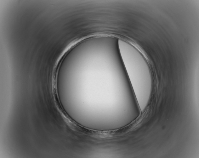 X0000088361101200705220728
