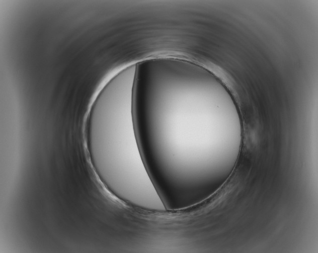 X0000088361102200705220728