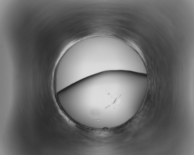 X0000088361103200705220728
