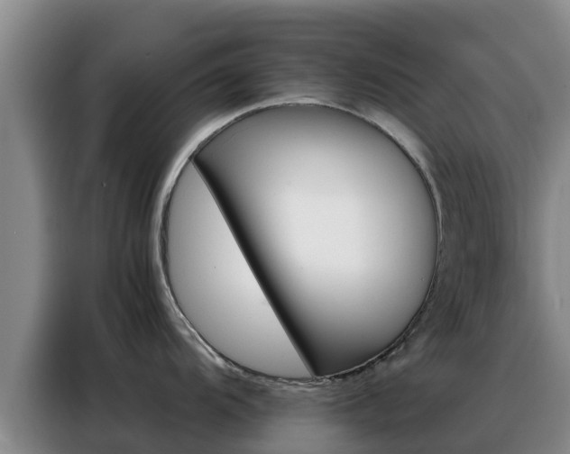 X0000088361104200705220728