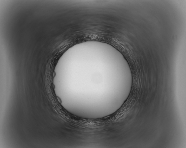 X0000088361105200705220727