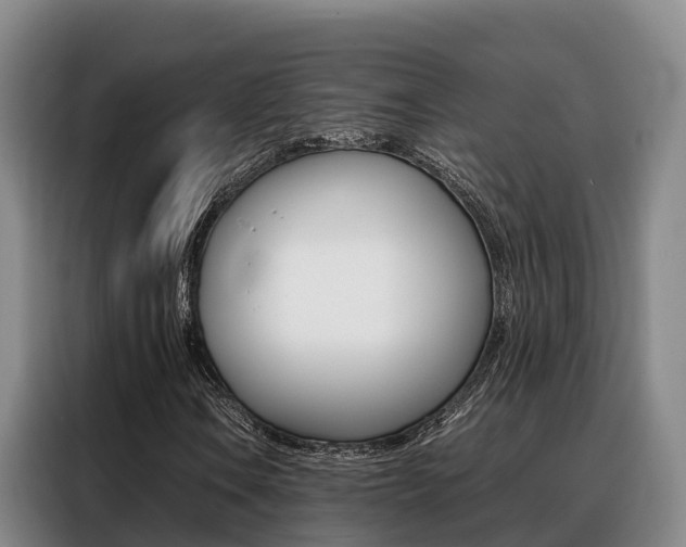 X0000088361106200705220727