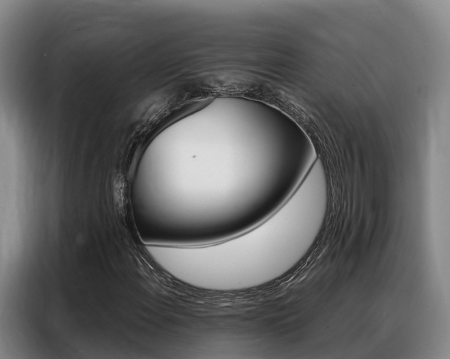 X0000088361108200705220727