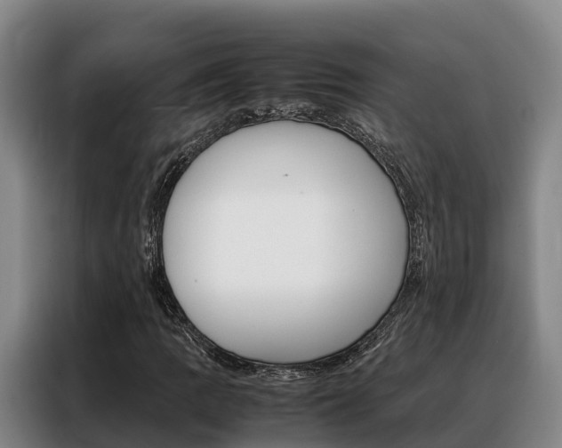 X0000088361109200705220727