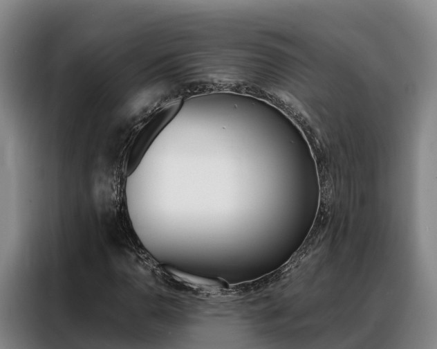 X0000088361110200705220727
